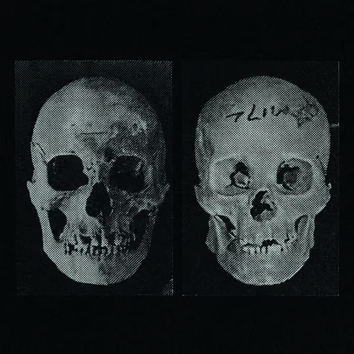 Goverment Alpha - The Human Race Was Restored To Life Repeatedly LP