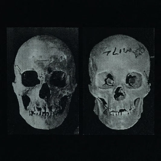 Goverment Alpha - The Human Race Was Restored To Life Repeatedly LP