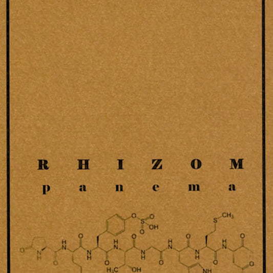 Rhizom - Panema CS