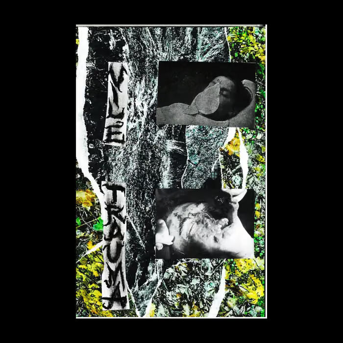 Kurluk / Resting Place - Vile Trauma CD-r