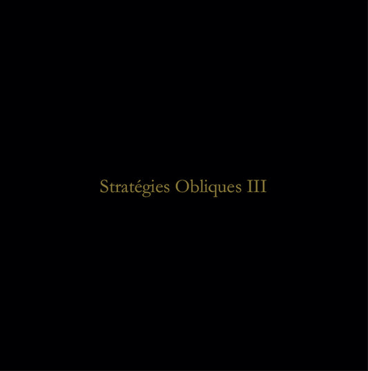 BJ Nilsen/Bruno Duplant - Stratégies Obliques III LP