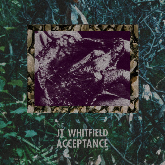JT Whitfield - Acceptance 3" CDr