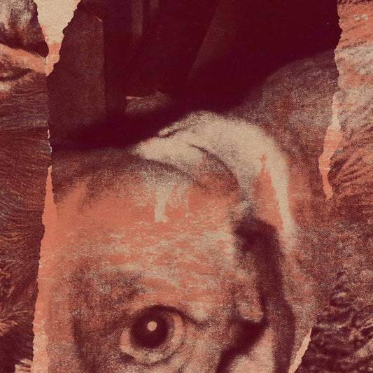 LOOMING - Dead Dogs CS