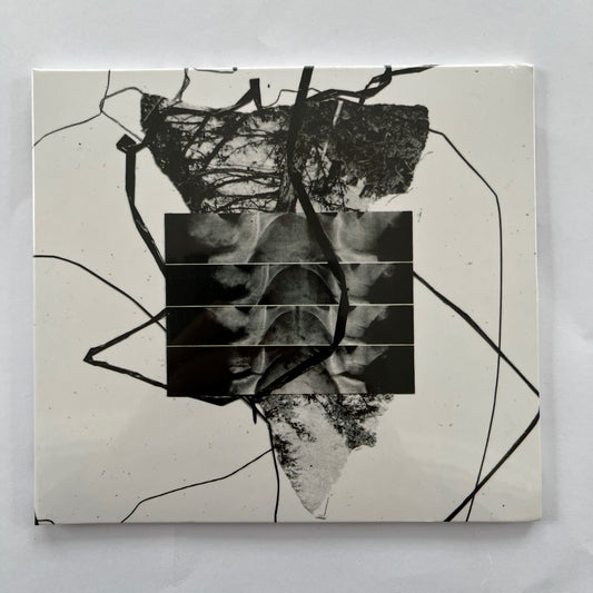 Hanzo Hasashi - Ikigai CD