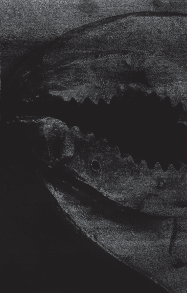 A.M.B. – Early Recordings 1991 CS