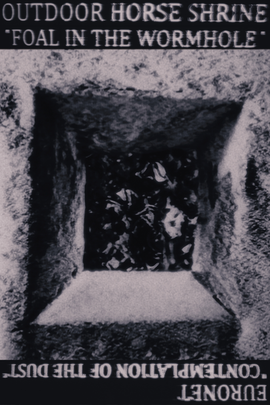 Outdoor Horse Shrine / Euronet – Foal in the Wormhole / Contemplation of the Dust CS