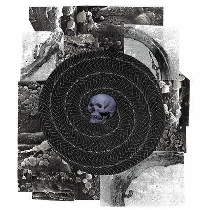 Hate Activist CD