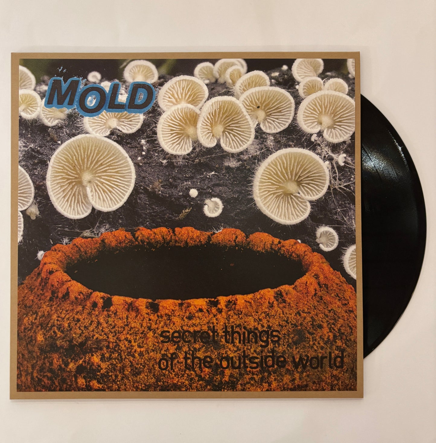 Mold - Secret Things Of The Outside World LP