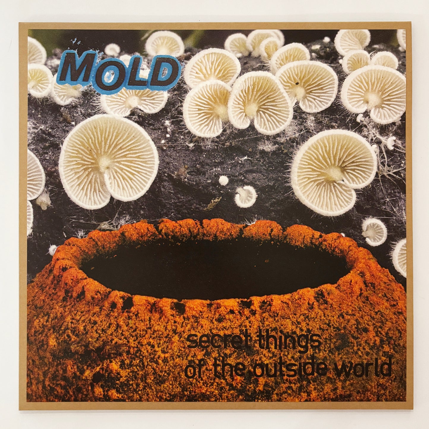 Mold - Secret Things Of The Outside World LP