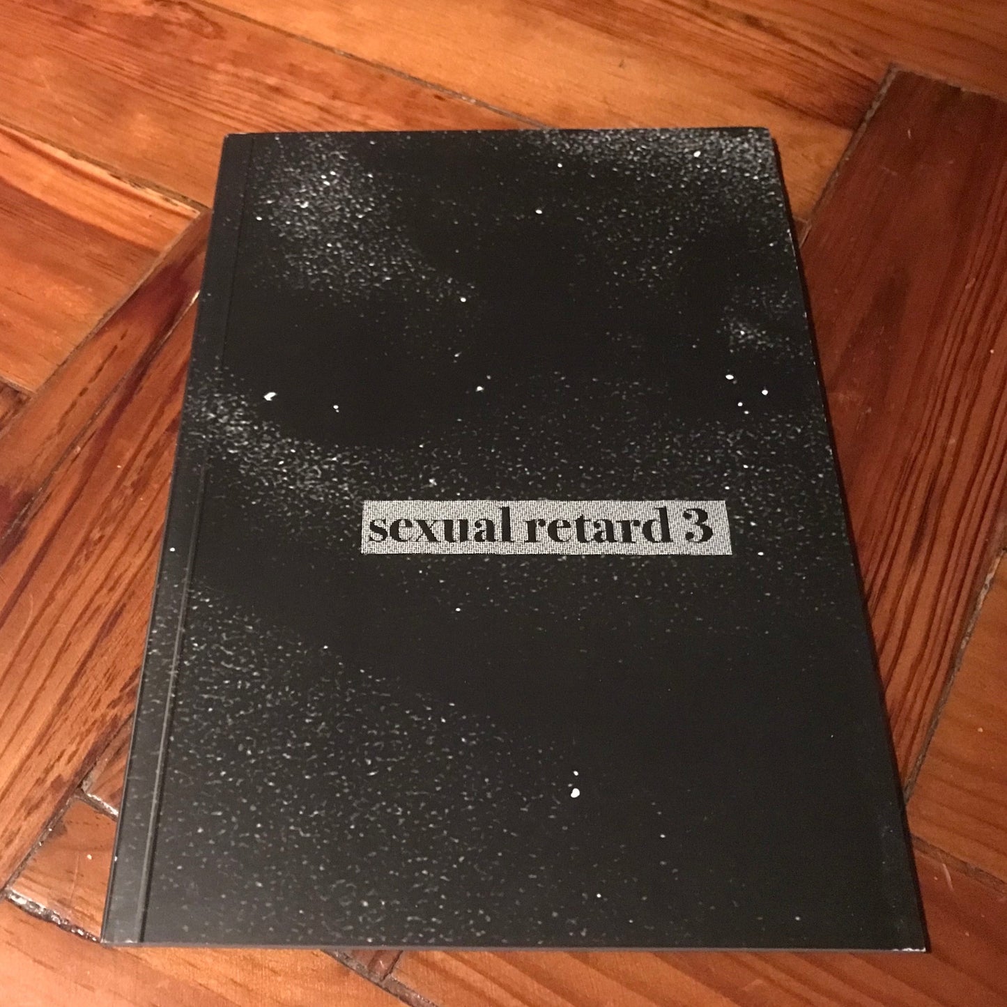 Nicola Vinciguerra - Sexual Retard #3 Zine