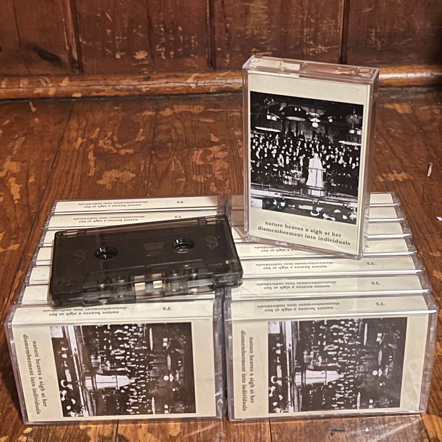 TS - Nature Heaves A Sigh At Her Dismemberment Into Individuals CS